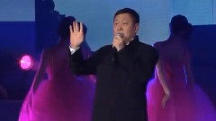 韩磊 - 尊严