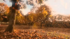 音乐短片 - 优美的小调(钢琴曲)