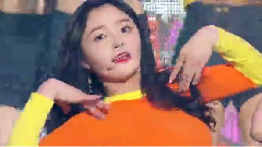韩国群星 - WEE WOO