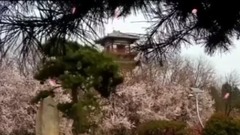 音乐短片 - 音乐欣赏