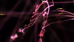 音乐短片 - A Voice Of The Universe