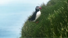 音乐短片 - 勇敢从心之旅<先锋>