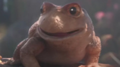 音乐短片 - DTS X Demo 2016 Locked Up DTS-HD MA 7.1