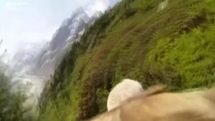 音乐短片 - The Best Of Eagle Attacks Caught On Video Most Amazing Wild Animal Fights