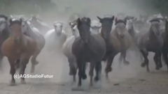 音乐短片 - Awesome! Dolby Surround