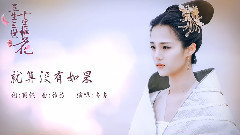 杨幂 - 就算没有如果