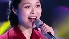 华语群星 - 我的祖国