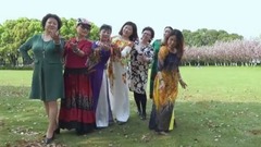 音乐短片 - 樱花里的天边