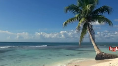 New - Pink Floyd Wish You Were Here