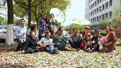 音乐短片 - 樱花浪漫情歌