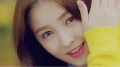 MOMO LAND - Wonderful Love