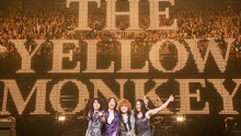 The Yellow Monkey - ロザーナ