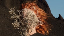 Goldfrapp - Systemagic