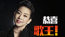 林忆莲 - 林忆莲《歌手》之路10首精剪