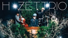 H ZETTRIO - Fiesta