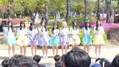 DIA - DIA mini粉丝见面会