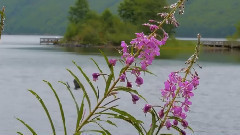 音乐短片 - A Change Of Heart