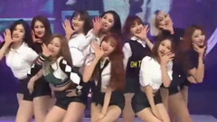 PRISTIN - WEE WOO - Show Champion 现场版 17/04/26