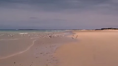 音乐短片 - Passing Time