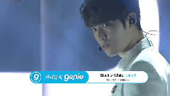 Cross Gene - Black or white