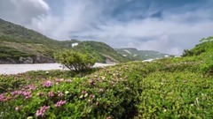 风景,音乐短片 - 北海道大雪山国立公园