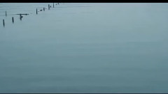 音乐短片 - 诉衷情(江南春色)