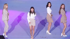 MAMAMOO - Decalcomanie