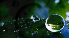 音乐短片 - Life Continued