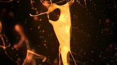 音乐短片 - Pink The Color Of Love