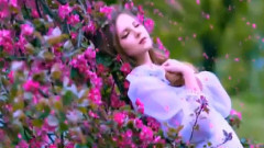 音乐短片 - Purple. The Color Of Blood