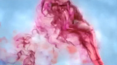 音乐短片 - The Color Of Lov