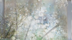 音乐短片 - White... The Color Of Time