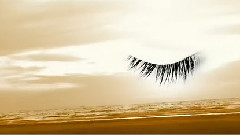 音乐短片 - Otarion - Out of Eden