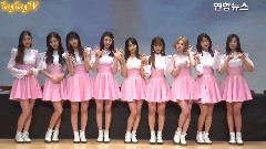 DIA - SD News DIA - YOLO 木洞签售会