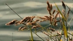 音乐短片 - For Your Love Only