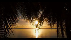 音乐短片 - Standing Up