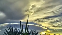 音乐短片 - 闲云孤鹤