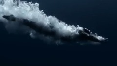 欧美群星,音乐短片 - Giorgio Armani Acqua Di Gio男士香水广告