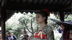 音乐短片 - 牡丹花神祭