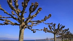 音乐短片 - 瑞士【Switzerland】