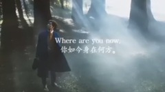 EXO,EXO-K,朴灿烈(EXO),吴世勋(EXO) - Faded