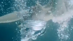 音乐短片 - Magic World Of Illusions