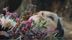 音乐短片 - Secret Love