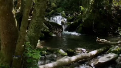 Yanni - Felitsa