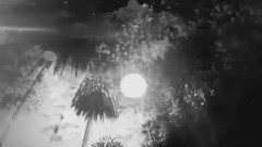 欧美群星 - Nentori