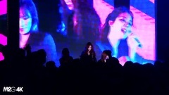 Stellar - 提线木偶