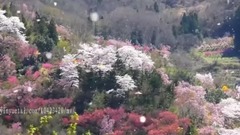 欧美群星,风景,音乐短片,乐动城市 - Funky House 我就喜欢这样的旋律
