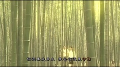 你还要走多久