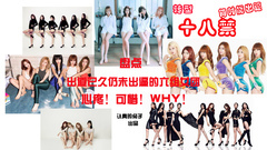 韩国群星,Nine Muses,Stellar,Hello Venus,Fiestar - 转型十八禁!盘点出道已久仍未出逼的六大女团!