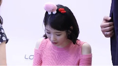 IU - Palette